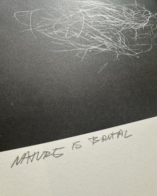 🥷🏻 RISO! by @dark_press 🖤 Kus za 200,- Kč. (30x42cm) Osobně k předání v Plzni a Praze. Jinak zásilkovna. #riso #risograph...