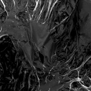 🌒 Massive plastic. #natureisbrutal #plasticbag #scanning #photography