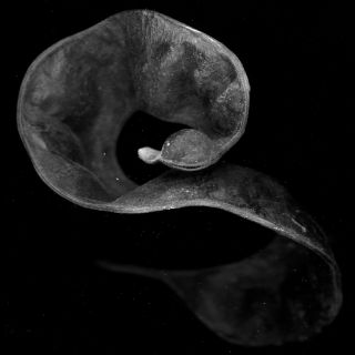 🤍 MASSIVE NATURE. #natureisbrutal #scanning #photography