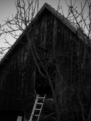 ⚫️ 15-11-2025 @loblhof.and.artgrund & @ma.rie.fiserova Včera dno, zítra strop. #exhibition #výstava #loblhofartgrund...